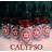Жидкости от Компании Calypso